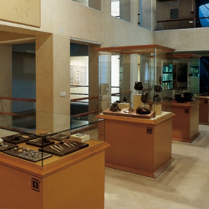 Fotografía de diversas vitrinas en el Museu Arqueològic Municipal Camilo Visedo Moltó